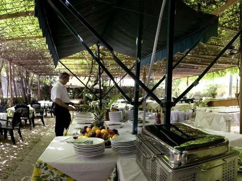 Hotel Delle Muse Roma