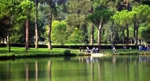 Hotel Delle Muse Rzym